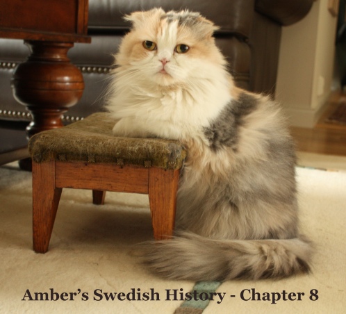 Amber Hist 8