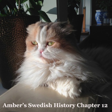 Amber history 12