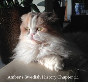 Amber Hist 14