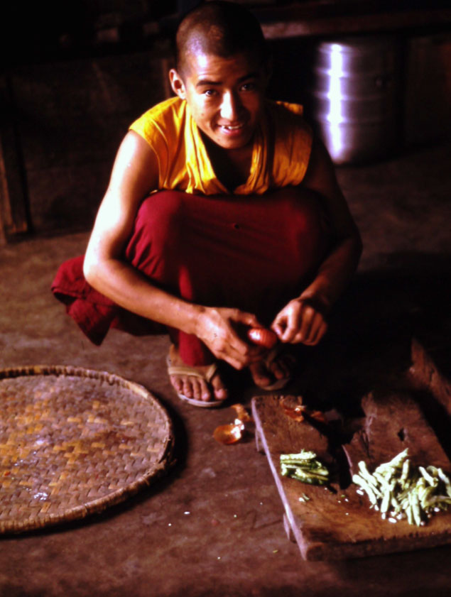 Boda Cook Monk